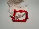 pul coral1.webp