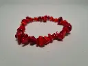 pul coral3.webp